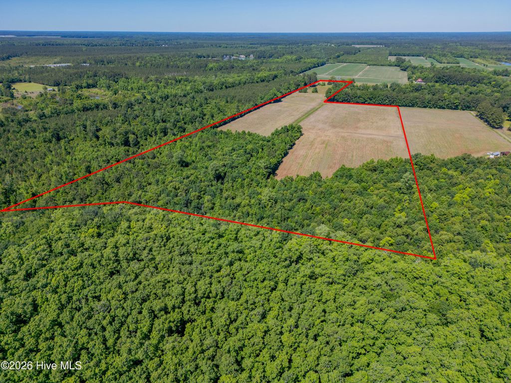 Photo of 9851 Hallsboro Road S, Whiteville, NC 28472 (MLS # 100575246)