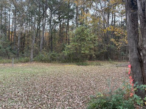 Tiny photo for 345 Lanier Avenue, Rocky Point, NC 28457 (MLS # 100546221)