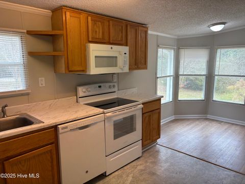 Tiny photo for 345 Lanier Avenue, Rocky Point, NC 28457 (MLS # 100546221)