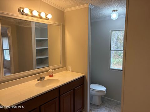 Tiny photo for 345 Lanier Avenue, Rocky Point, NC 28457 (MLS # 100546221)