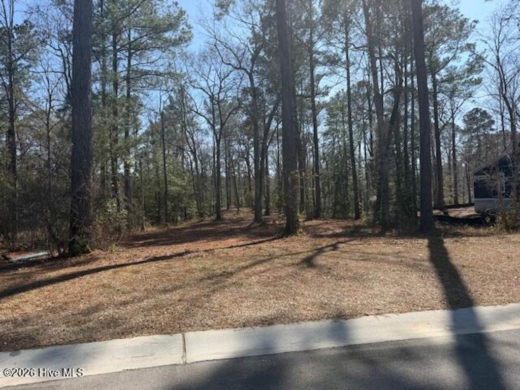 Photo of 3695 River Park Way NE, Leland, NC 28451 (MLS # 100557429)