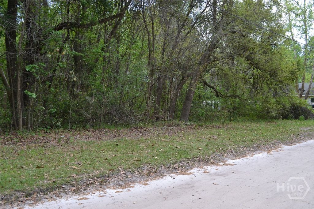 Photo of 0 S Hickory Street, Bloomingdale, GA 31302 (MLS # SA352340)