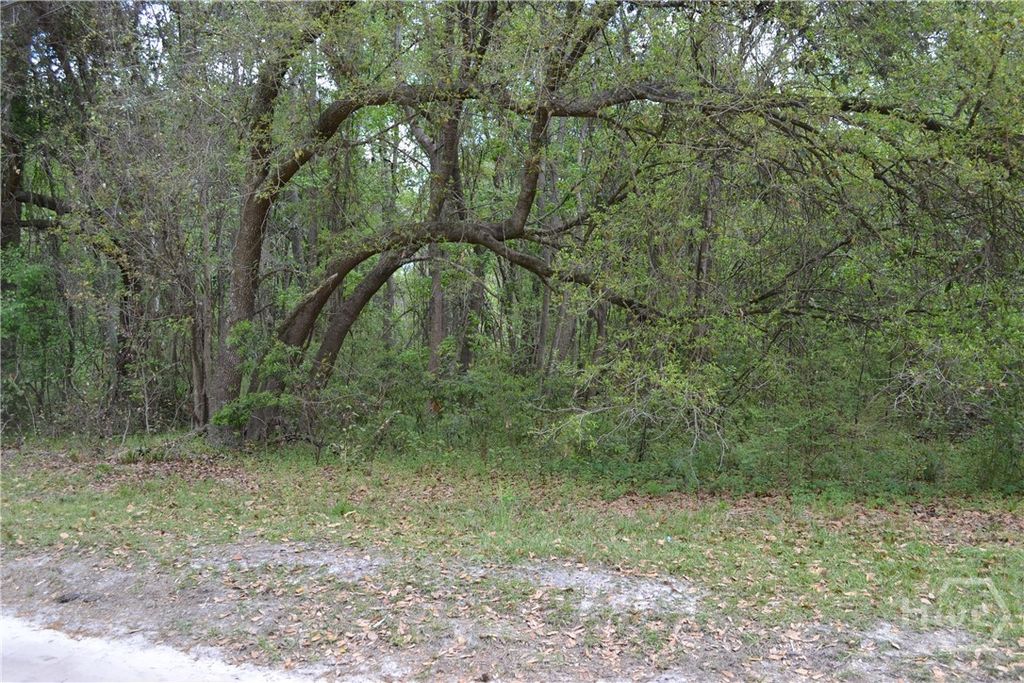 Photo of 0 S Hickory Street, Bloomingdale, GA 31302 (MLS # SA352340)