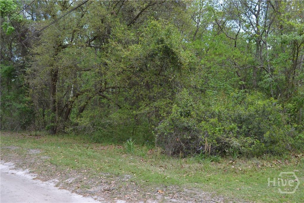 Photo of 0 S Hickory Street, Bloomingdale, GA 31302 (MLS # SA352340)