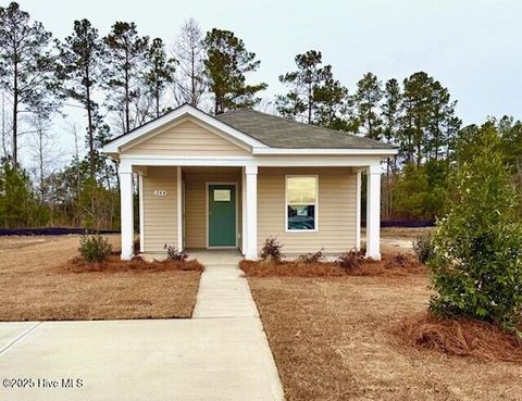 Homes For Sale - 224 Ashworth Drive<br/> Tabor City, NC 28463