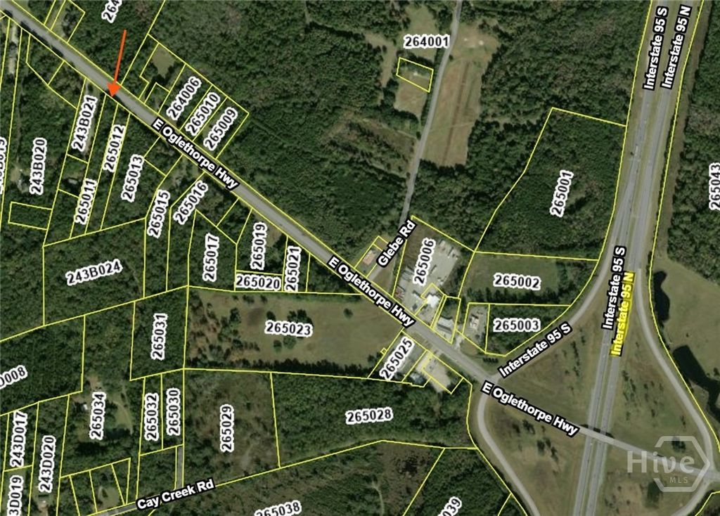 Photo of 13225 E Oglethorpe Highway, Midway, GA 31320 (MLS # SA355718)