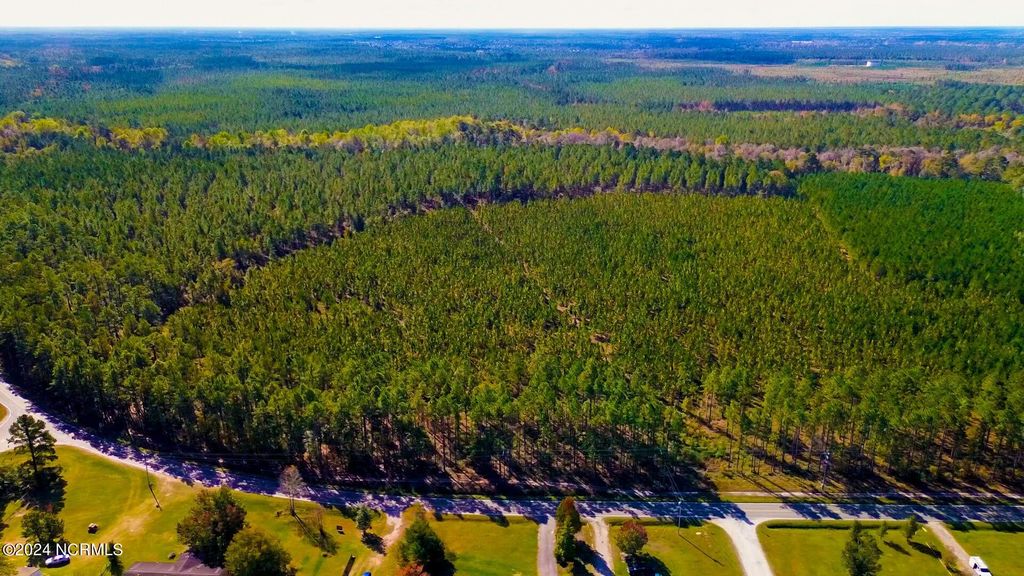 Photo of 0 Mt Misery Road NE, Leland, NC 28451 (MLS # 100429451)