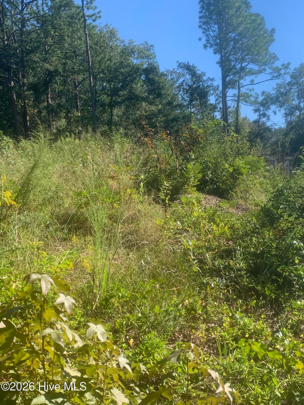 Photo of 2331 Rutherford Avenue, Augusta, GA 30906 (MLS # 100607036)