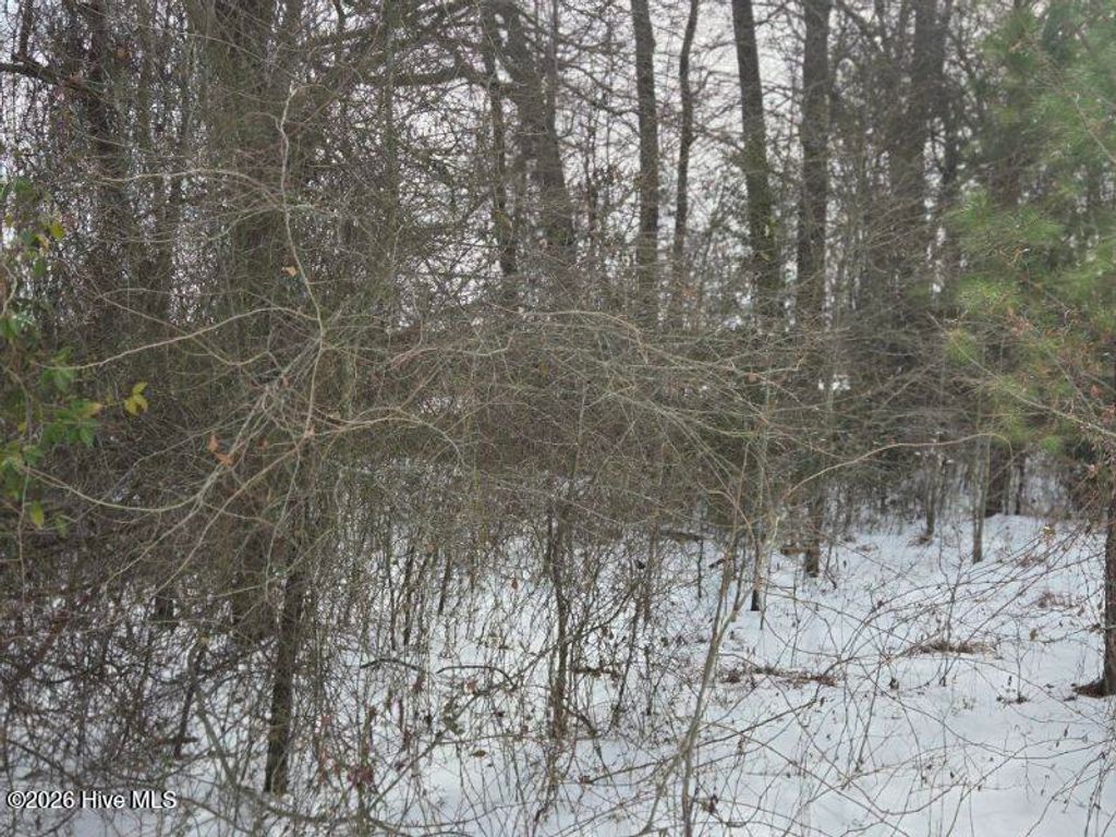 Photo of 101 Esterville Road, Elizabethtown, NC 28337 (MLS # 100556662)