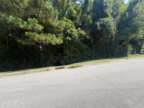 Tiny photo for 260 Sylvester Street, Richlands, NC 28574 (MLS # 100595797)
