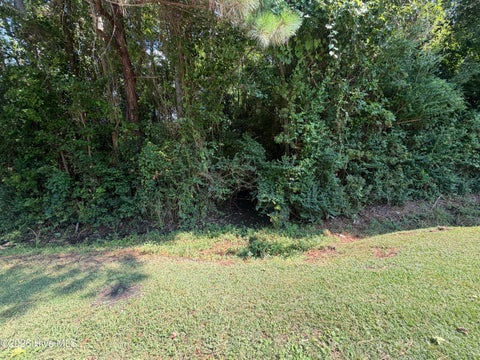 Tiny photo for 260 Sylvester Street, Richlands, NC 28574 (MLS # 100595797)