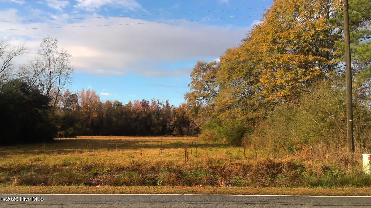 1.77 Ac Will Baker Road, Kinston, NC, 28504