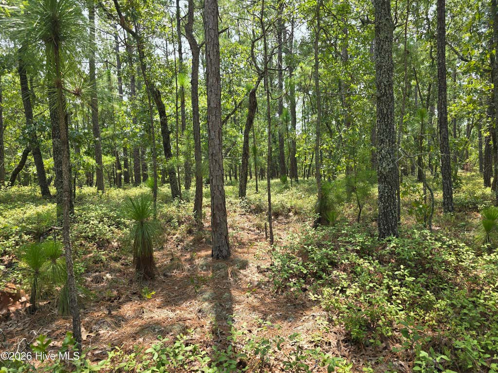 Photo of 10 Woola Woola Lane, Grantsboro, NC 28529 (MLS # 100589487)