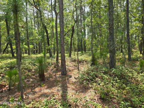 Vacant Land For Sale - LOT 10 Woola Woola Lane<br/> Pamlico County, Grantsboro, NC 28529