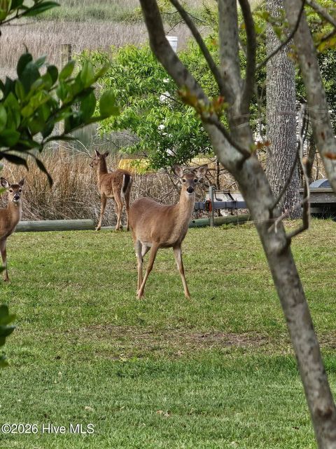 Tiny photo for 105 White Heron Cove Road, Hampstead, NC 28443 (MLS # 100553949)