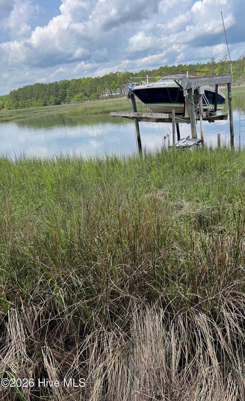 Tiny photo for 105 White Heron Cove Road, Hampstead, NC 28443 (MLS # 100553949)