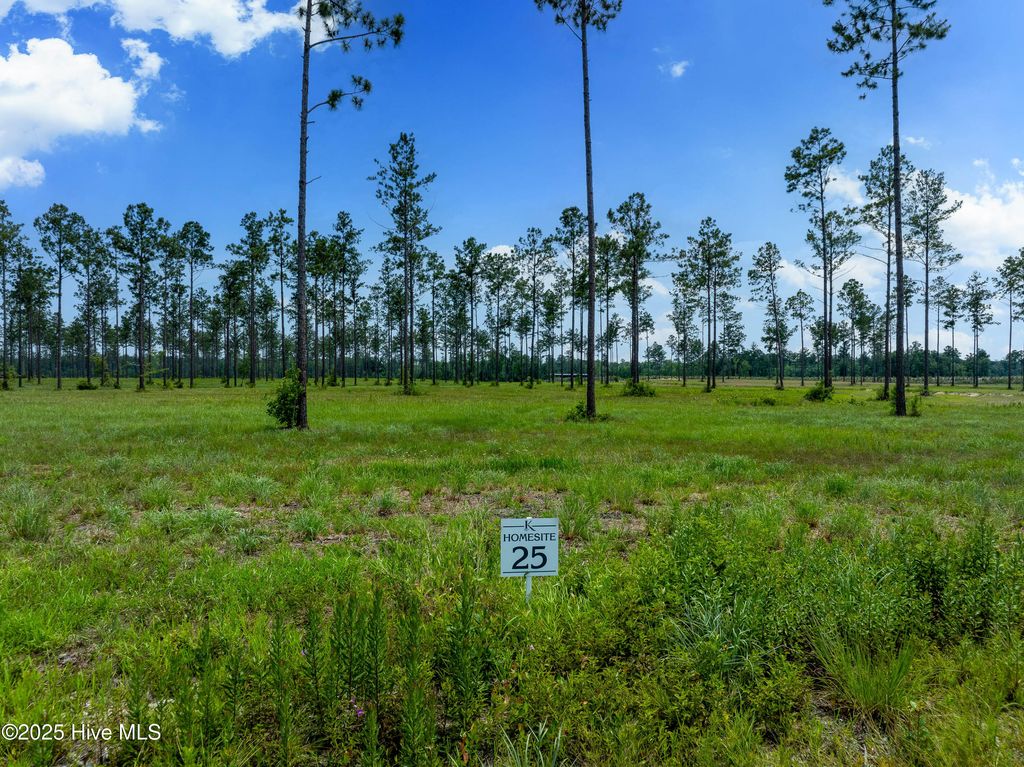 Photo of 25 Cattle Drive, Rocky Point, NC 28457 (MLS # 100520208)