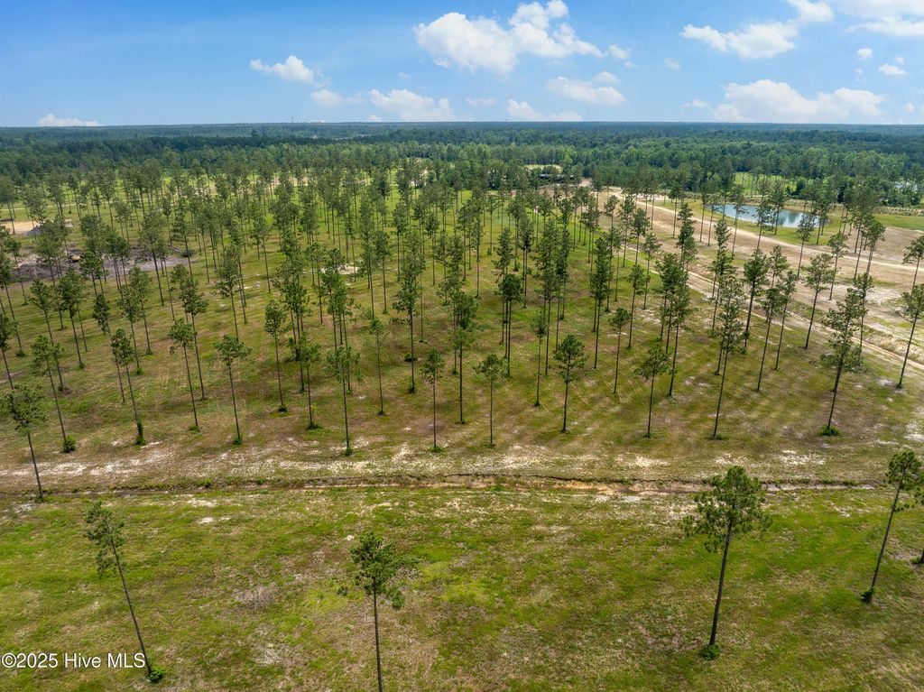 Photo of 25 Cattle Drive, Rocky Point, NC 28457 (MLS # 100520208)