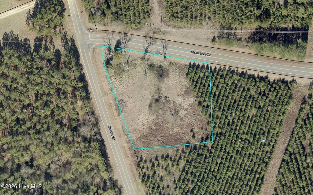 Photo of N/A Bill Oliver Road, Wrightsville, GA 31096 (MLS # 100579054)