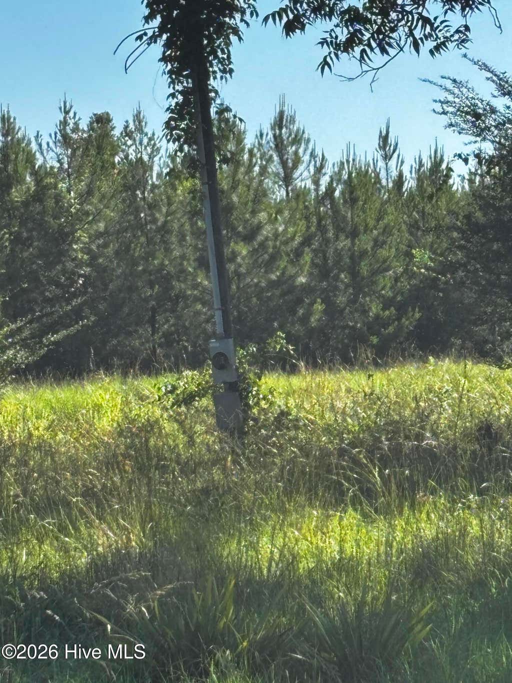 Photo of N/A Bill Oliver Road, Wrightsville, GA 31096 (MLS # 100579054)
