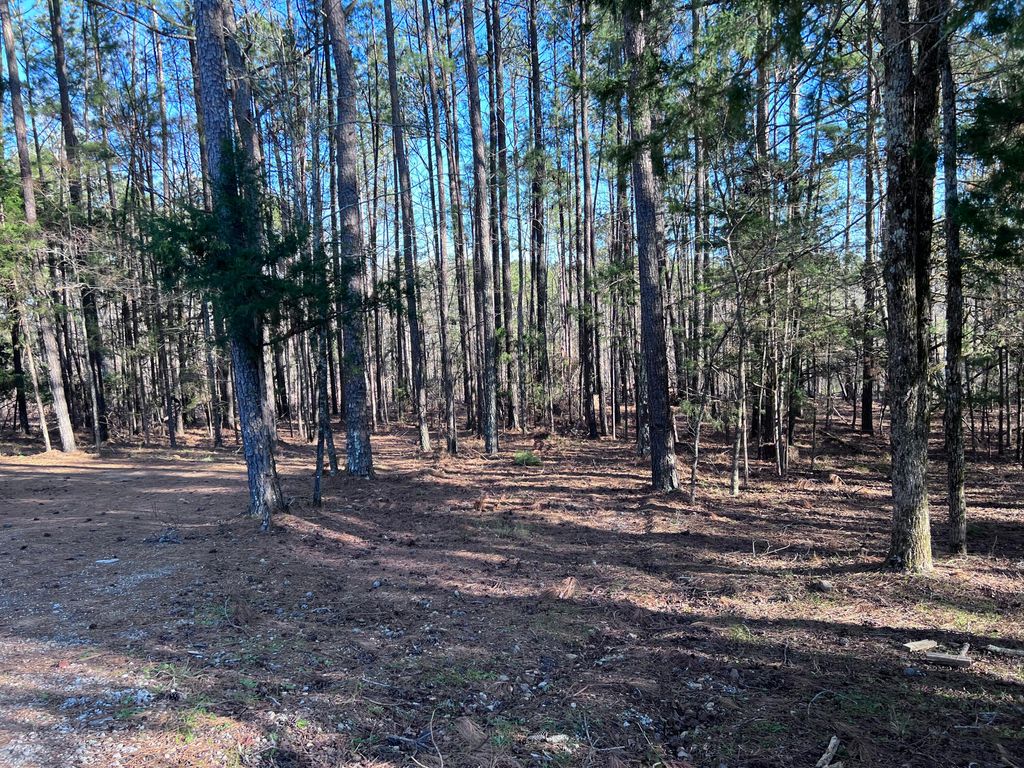 Photo of 6197 Columbia Road, Appling, GA 30802 (MLS # 552029)