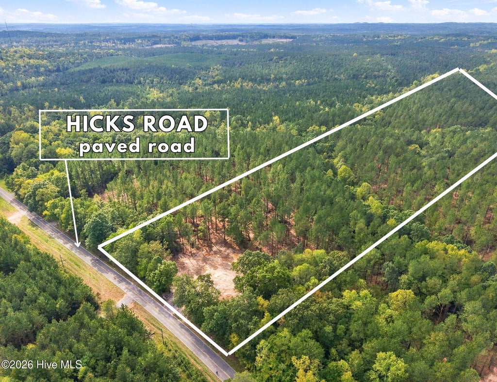 Photo of 3 Capelsie Road, Candor, NC 27229 (MLS # 100612245)