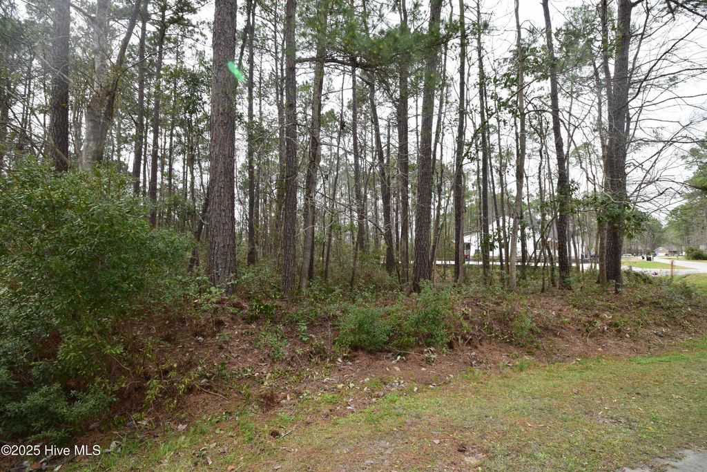 Photo of 916 Bee Tree Court, New Bern, NC 28560 (MLS # 100496535)