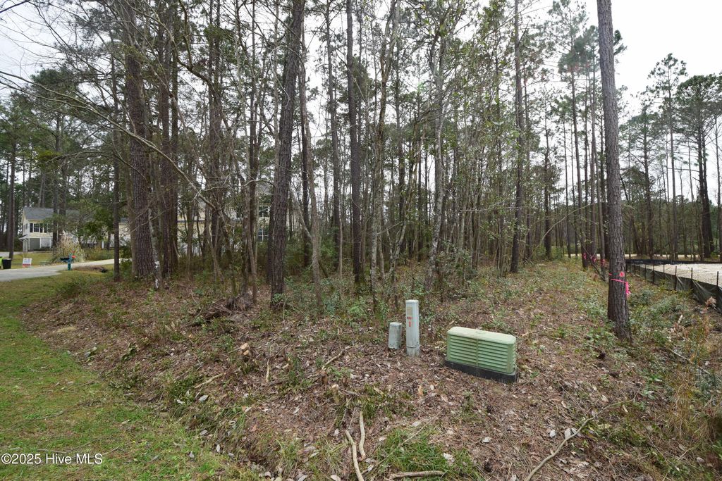 Photo of 916 Bee Tree Court, New Bern, NC 28560 (MLS # 100496535)