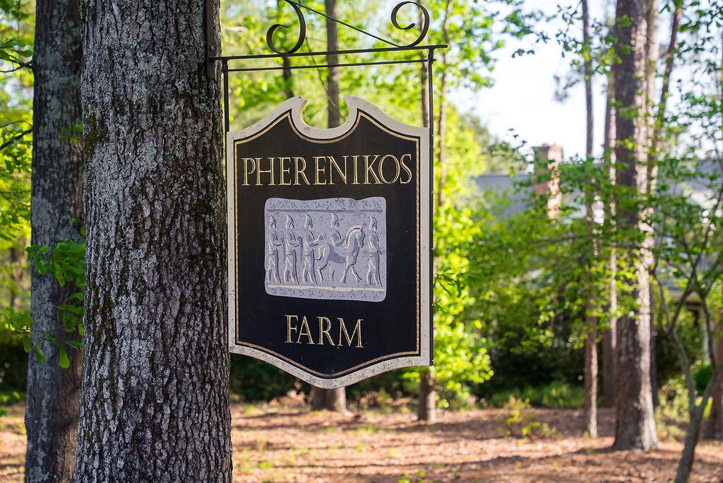 Photo of 275 Homeward Bound Drive, North Augusta, SC 29860 (MLS # 554696)