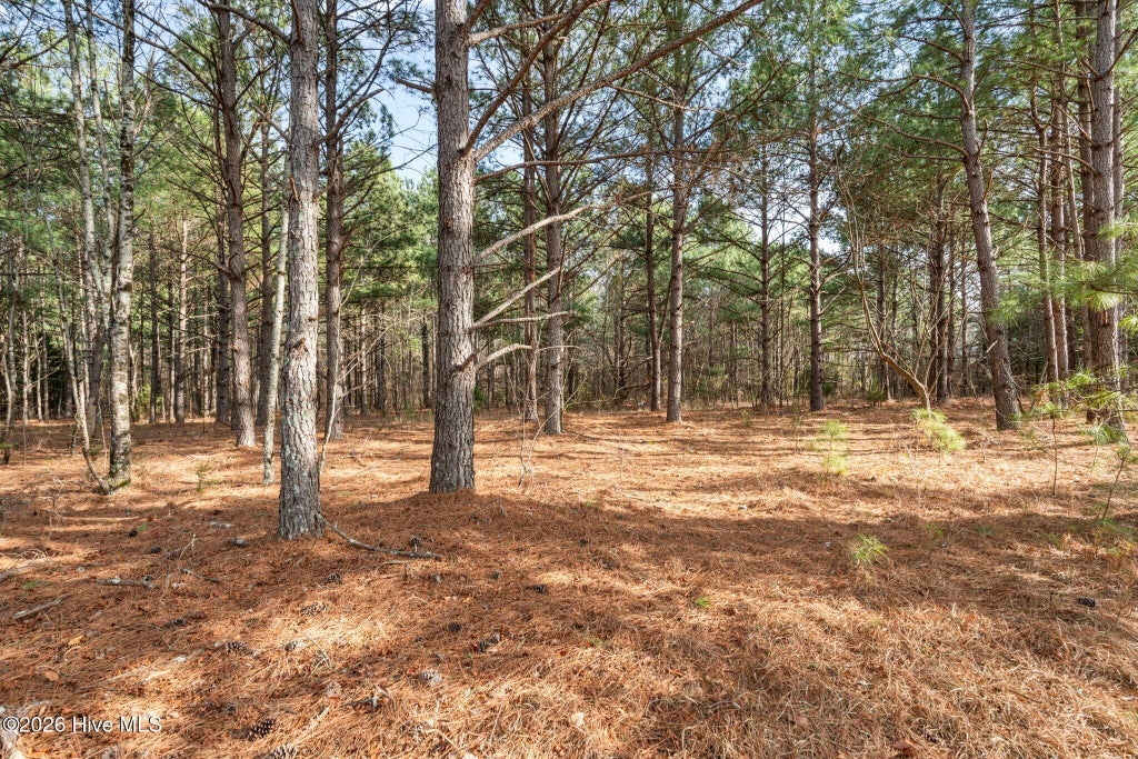 Photo of 2655 Us 1 Highway, Vass, NC 28394 (MLS # 100600118)