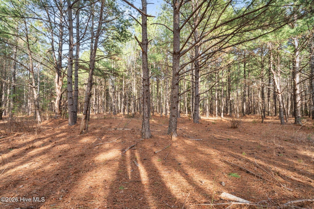 Photo of 2655 Us 1 Highway, Vass, NC 28394 (MLS # 100600118)