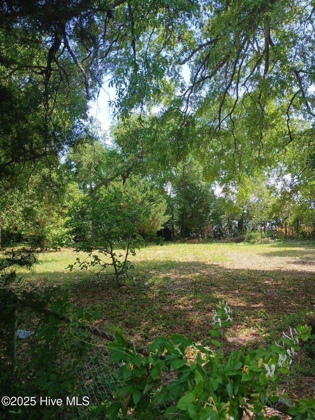 Photo of 510 Holbrooke Avenue, Wilmington, NC 28412 (MLS # 100555338)