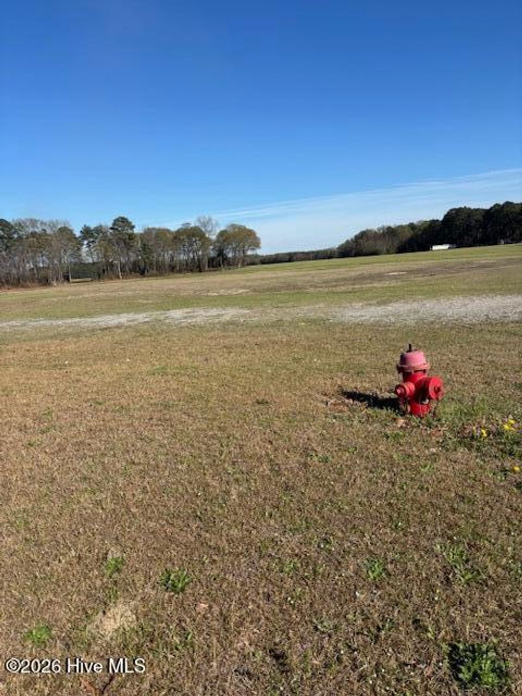 Photo of 7542 Nc 58, Snow Hill, NC 28580 (MLS # 100561105)