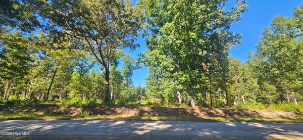 TRACT 2 BETHANY CHURCH ROAD, LINCOLNTON, GA 30817 - Image 58feac962a3e7b645c9dd51dc04e2d34/4055739887