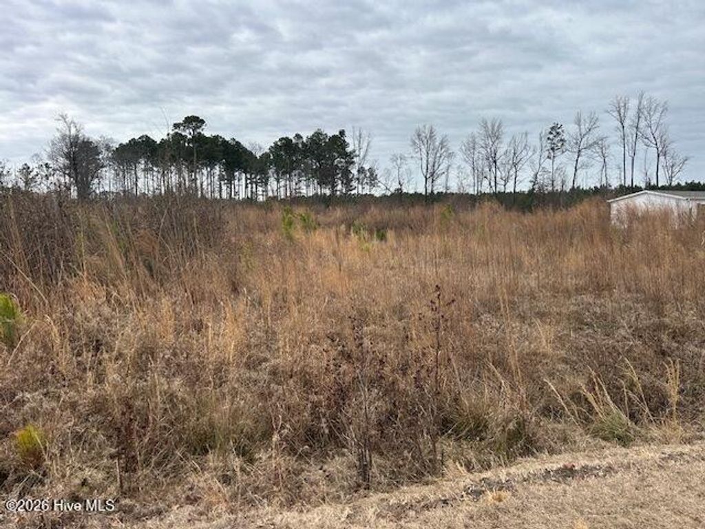 Photo of 0 N Mccullen Road, Faison, NC 28341 (MLS # 100555145)