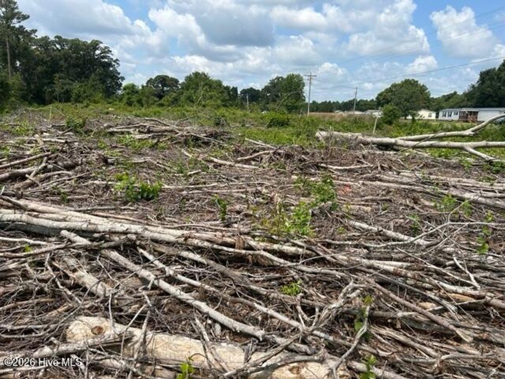 Photo of 0 N Mccullen Road, Faison, NC 28341 (MLS # 100555145)