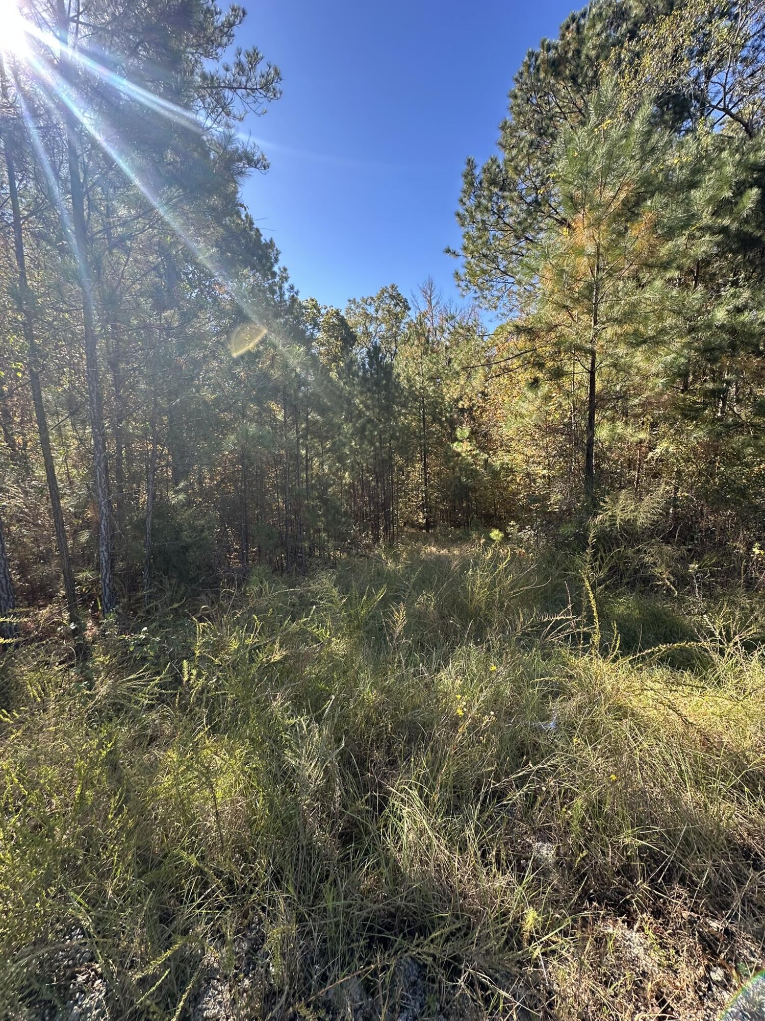 Lot 27&28 27 & 28 Lakeshore Estates Drive