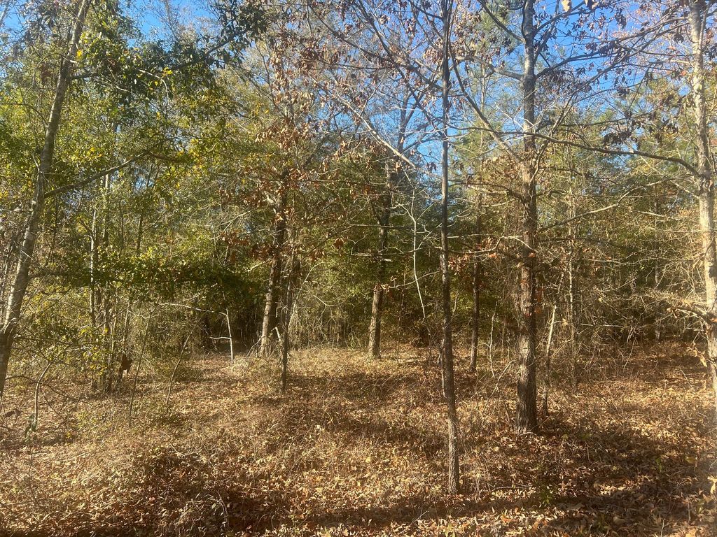 Photo of 0 Golden Eagle Lane, Hephzibah, GA 30815 (MLS # 550639)