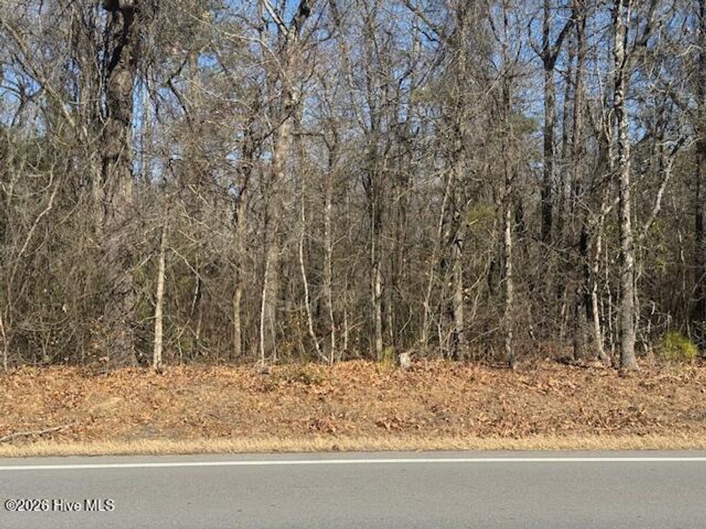 Photo of 5468 River Road, Vanceboro, NC 28586 (MLS # 100551787)