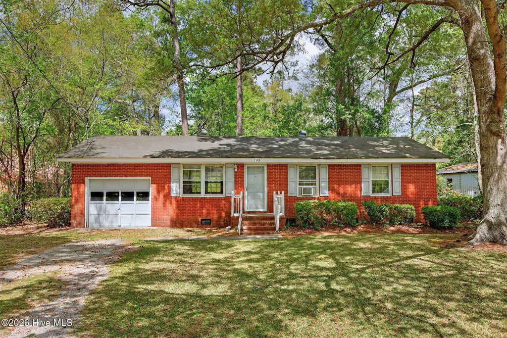 Photo of 703 E Kristi Circle, Burgaw, NC 28425 (MLS # 100565176)