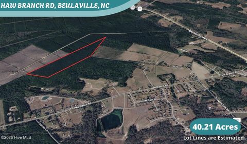 Photo of 40 Haw Branch Road, Beulaville, NC 28518 (MLS # 100556402)