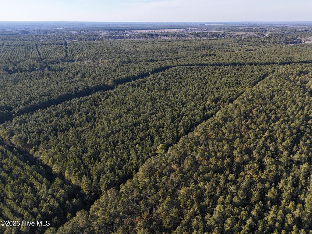 Photo of 40 Haw Branch Road, Beulaville, NC 28518 (MLS # 100556402)