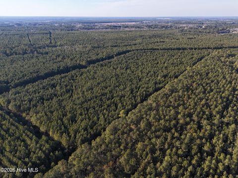 Tiny photo for 40 Haw Branch Road, Beulaville, NC 28518 (MLS # 100556402)