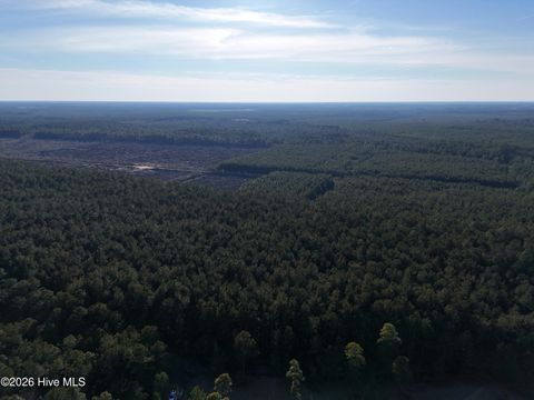 Tiny photo for 40 Haw Branch Road, Beulaville, NC 28518 (MLS # 100556402)