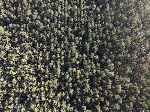 Tiny photo for 40 Haw Branch Road, Beulaville, NC 28518 (MLS # 100556402)