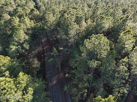 Tiny photo for 40 Haw Branch Road, Beulaville, NC 28518 (MLS # 100556402)