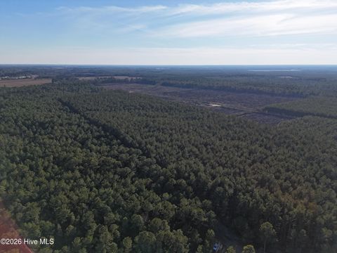 Tiny photo for 40 Haw Branch Road, Beulaville, NC 28518 (MLS # 100556402)