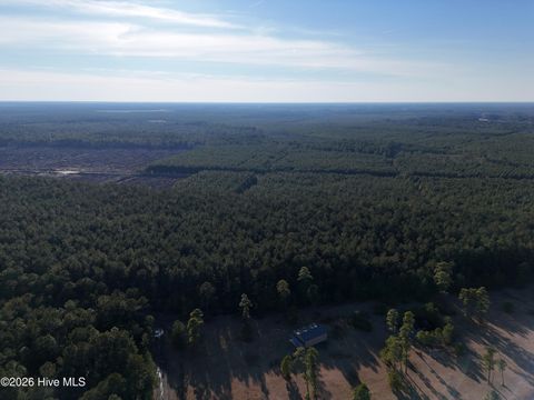 Tiny photo for 40 Haw Branch Road, Beulaville, NC 28518 (MLS # 100556402)