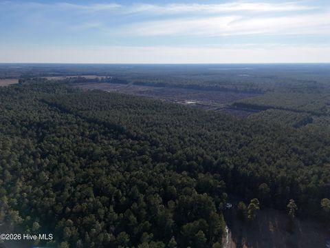 Tiny photo for 40 Haw Branch Road, Beulaville, NC 28518 (MLS # 100556402)