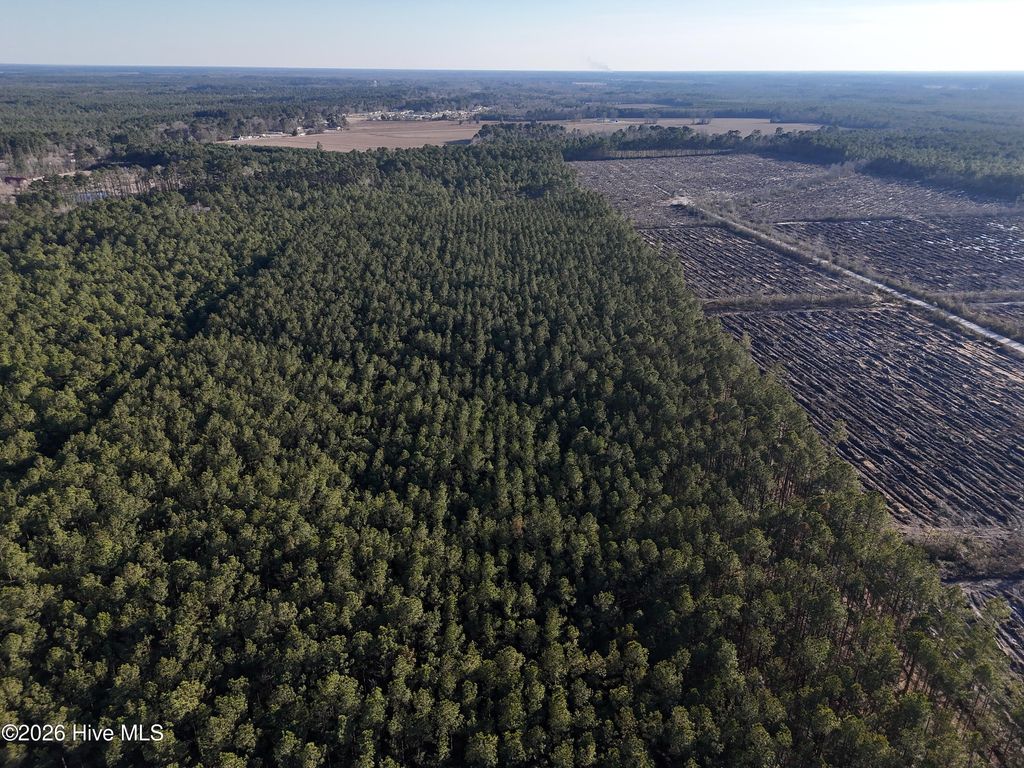 Photo of 40 Haw Branch Road, Beulaville, NC 28518 (MLS # 100556402)